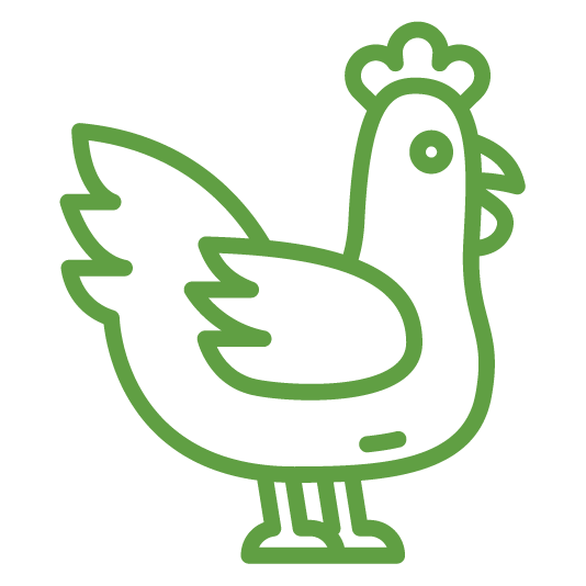 AGRICULTURE OUTLINE_CHICKEN